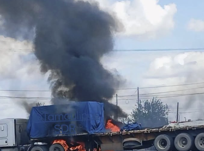 Tamaulipas de Cabeza